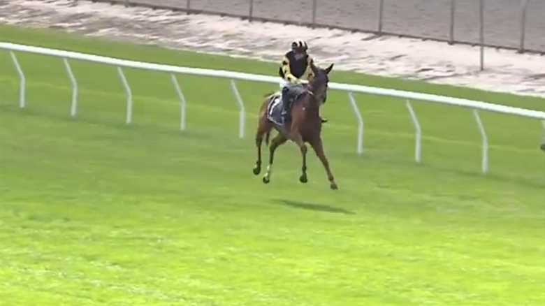 Jockey's Feat Leaves Crowd in Awe as Horse Takes a Wild Ride